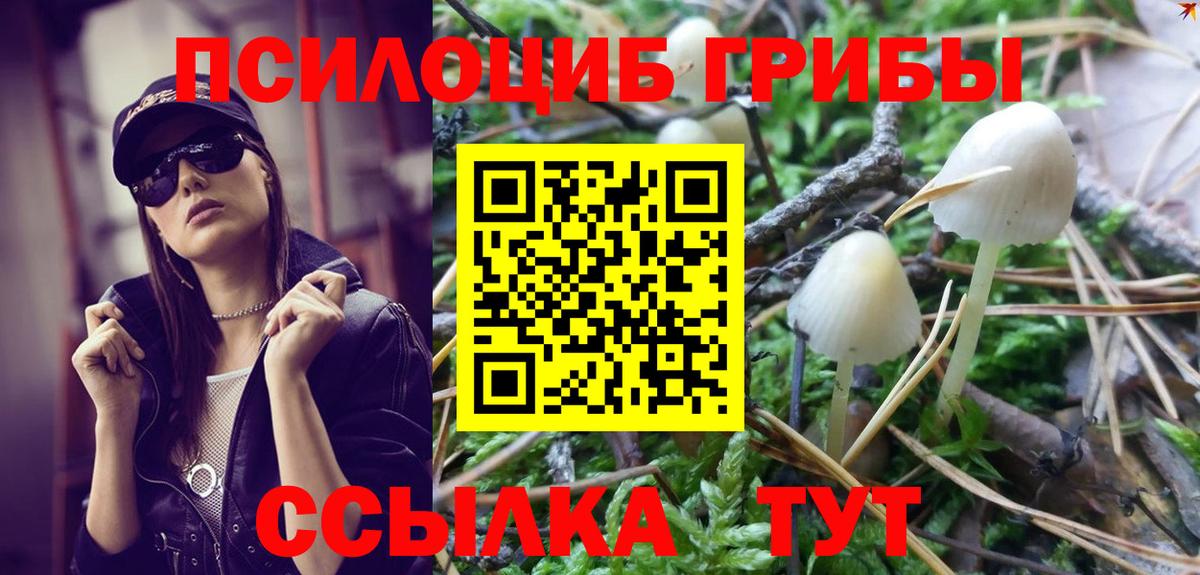 Псилоцибиновые грибы прущие грибы Великий Устюг