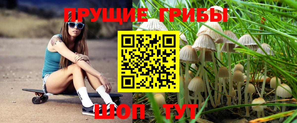 Великий Устюг  где продают   Вход с VPN  Галлюциногенные грибы мухоморы  Псилоцибиновые грибы Psilocybine cubensis 